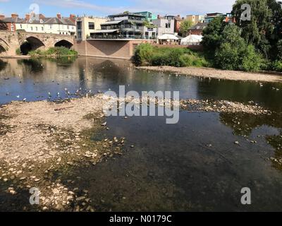 UK Wetter River Wye Hereford- Hereford UK Freitag 15. Juli 2022 - sehr niedriger Wasserstand auf dem River Wye, der Flussbett und flache Pools freilegt. Bedrohung für Fische und hilft Algenblüten. Stockfoto