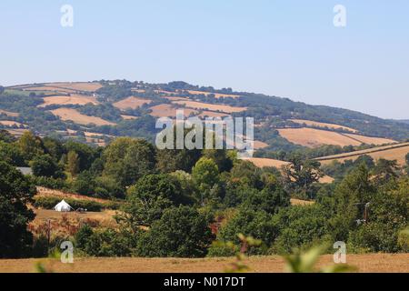 Ausgetrockte Patchwork-Felder, da die Temperaturen in der Hitzewelle weiter ansteigen. Doddiscombsleigh, Devon, Großbritannien. 11. August 2022. Credit nidpor/ Alamy Live News Credit: Nidpor/StockimoNews/Alamy Live News Stockfoto