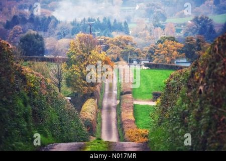 Dunsford, Devon. 12.. November 2022. UK Wetter: Herbstlandschaft bei Dunsford in Devon, UK. 12. November 2022. Credit nidpor/ Alamy Live News Credit: Nidpor/StockimoNews/Alamy Live News Stockfoto