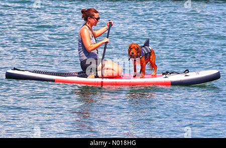 Teignmouth Beach, Devon. 11. Juni 2023 Wetter im Vereinigten Königreich: Sonnenschein am Teignmouth Beach, Devon, Vereinigtes Königreich. 11. Juni 2023. Credit nidpor Credit: Nidpor/StockimoNews/Alamy Live News Stockfoto