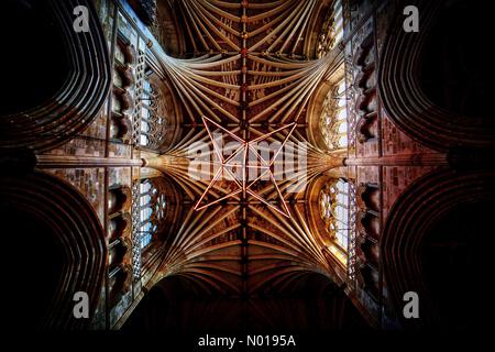 Exeter, Devon, Großbritannien. 25. September 2023. Licht der Hoffnung Stern des Bildhauers Peter Walker. Die atemberaubende Installation aus Stahl und Neon-Sternen hängt im beeindruckenden Kirchenschiff der Kathedrale von Exeter. Das Steingewölbe aus dem 14. Jahrhundert, das das Kirchenschiff und die Quirendecke bildet, ist eines der Glanzstücke der Kathedrale von Exeter. Es ist das längste durchgehende mittelalterliche Steingewölbe der Welt. Die ausstrahlenden Rippen sehen aus wie eine Allee aus bogenförmigen Palmenzweigen. Diese Art der Gewölbung wird als „Tierceron“ bezeichnet. Quelle: Nidpor/StockimoNews/Alamy Live News Stockfoto