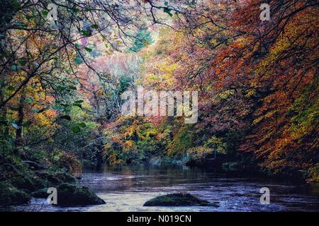 Fluss Teign, Devon. November 2023. Wetter in Großbritannien: Wunderschöne Herbstfarben am Fluss Teign, Devon, Großbritannien. 11. November 2023. Credit Nidpor Credit: Nidpor / StockimoNews / Alamy Live News Stockfoto