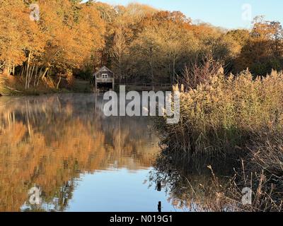 Wetter in Großbritannien: Herbstfarben in Godalming. Winkworth Arboretum, Godalming. November 2023. Ein frostiger Morgen in den Home Counties. Herbstfarben im Winkworth Arboretum in Godalming, Surrey. Quelle: Jamesjagger/StockimoNews/Alamy Live News Stockfoto