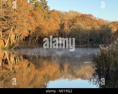 Wetter in Großbritannien: Herbstfarben in Godalming. Winkworth Arboretum, Godalming. November 2023. Ein frostiger Morgen in den Home Counties. Herbstfarben im Winkworth Arboretum in Godalming, Surrey. Quelle: Jamesjagger/StockimoNews/Alamy Live News Stockfoto