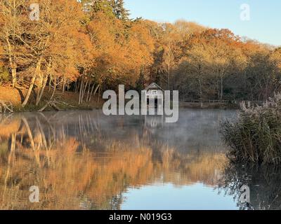 Wetter in Großbritannien: Herbstfarben in Godalming. Winkworth Arboretum, Godalming. November 2023. Ein frostiger Morgen in den Home Counties. Herbstfarben im Winkworth Arboretum in Godalming, Surrey. Quelle: Jamesjagger/StockimoNews/Alamy Live News Stockfoto