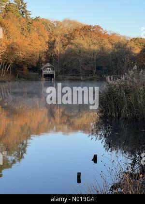 Wetter in Großbritannien: Herbstfarben in Godalming. Winkworth Arboretum, Godalming. November 2023. Ein frostiger Morgen in den Home Counties. Herbstfarben im Winkworth Arboretum in Godalming, Surrey. Quelle: Jamesjagger/StockimoNews/Alamy Live News Stockfoto