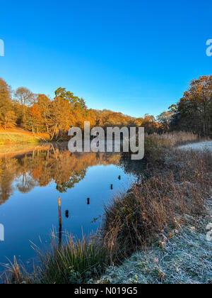 Wetter in Großbritannien: Herbstfarben in Godalming. Winkworth Arboretum, Godalming. November 2023. Ein frostiger Morgen in den Home Counties. Herbstfarben im Winkworth Arboretum in Godalming, Surrey. Quelle: Jamesjagger/StockimoNews/Alamy Live News Stockfoto