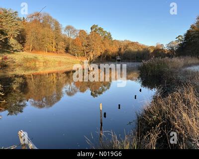 Wetter in Großbritannien: Herbstfarben in Godalming. Winkworth Arboretum, Godalming. November 2023. Ein frostiger Morgen in den Home Counties. Herbstfarben im Winkworth Arboretum in Godalming, Surrey. Quelle: Jamesjagger/StockimoNews/Alamy Live News Stockfoto