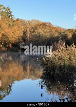 Wetter in Großbritannien: Herbstfarben in Godalming. Winkworth Arboretum, Godalming. November 2023. Ein frostiger Morgen in den Home Counties. Herbstfarben im Winkworth Arboretum in Godalming, Surrey. Quelle: Jamesjagger/StockimoNews/Alamy Live News Stockfoto