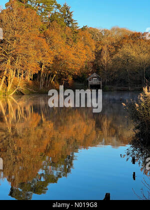 Wetter in Großbritannien: Herbstfarben in Godalming. Winkworth Arboretum, Godalming. November 2023. Ein frostiger Morgen in den Home Counties. Herbstfarben im Winkworth Arboretum in Godalming, Surrey. Quelle: Jamesjagger/StockimoNews/Alamy Live News Stockfoto