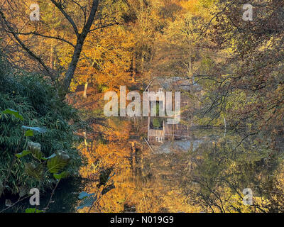 Wetter in Großbritannien: Herbstfarben in Godalming. Winkworth Arboretum, Godalming. November 2023. Ein frostiger Morgen in den Home Counties. Herbstfarben im Winkworth Arboretum in Godalming, Surrey. Quelle: Jamesjagger/StockimoNews/Alamy Live News Stockfoto