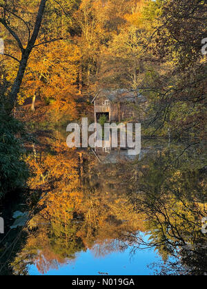 Wetter in Großbritannien: Herbstfarben in Godalming. Winkworth Arboretum, Godalming. November 2023. Ein frostiger Morgen in den Home Counties. Herbstfarben im Winkworth Arboretum in Godalming, Surrey. Quelle: Jamesjagger/StockimoNews/Alamy Live News Stockfoto