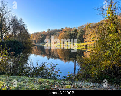 Wetter in Großbritannien: Herbstfarben in Godalming. Winkworth Arboretum, Godalming. November 2023. Ein frostiger Morgen in den Home Counties. Herbstfarben im Winkworth Arboretum in Godalming, Surrey. Quelle: Jamesjagger/StockimoNews/Alamy Live News Stockfoto