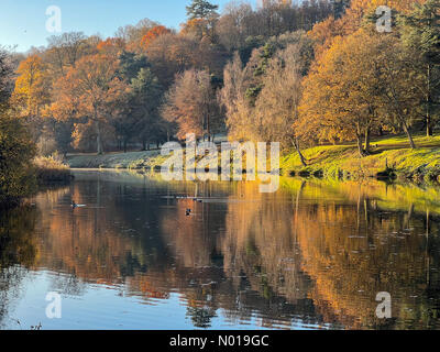 Wetter in Großbritannien: Herbstfarben in Godalming. Winkworth Arboretum, Godalming. November 2023. Ein frostiger Morgen in den Home Counties. Herbstfarben im Winkworth Arboretum in Godalming, Surrey. Quelle: Jamesjagger/StockimoNews/Alamy Live News Stockfoto