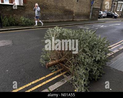 Wimbledon London, Großbritannien 6. Januar 2024. Entsorgte Weihnachtsbäume, die auf einem Bürgersteig in Wimbledon, Südwesten Londons, verlassen wurden, als die Weihnachtszeit zu Ende geht. Credit: amer ghazzal/StockimoNews/Alamy Live News Stockfoto