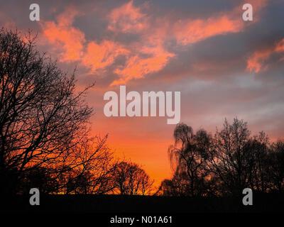 Wetter in Großbritannien: Sonnenuntergang über Godalming. Marsh Farm, Godalming. Januar 2024. Ein kalter, aber trockener Tagesausklang für die Home Counties. Sonnenuntergang über der Marsh Farm in Godalming, Surrey. Quelle: Jamesjagger/StockimoNews/Alamy Live News Stockfoto