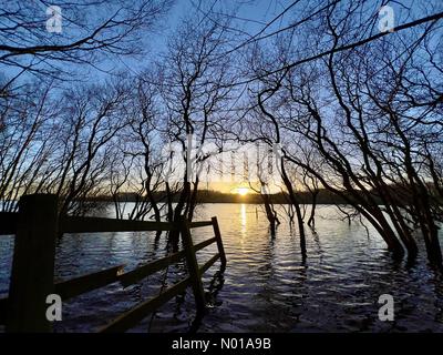 Wetter in Großbritannien: Untergehende Sonne in Rivington, Lancashire. Halb untergetauchte Bäume an der Seite des Rivington Reservoir und gebrochener Zaun bei Sonnenuntergang nach einem sonnigen Wintertag Stockfoto