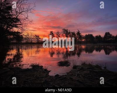 Wetter in Großbritannien: Sonnenaufgang über Thursley Common. Elstead Moat, Thursley. Januar 2024. Ein frostiger Start in den Tag für die Home Counties. Sonnenaufgang über Thursley Common bei Godalming, Surrey. Quelle: Jamesjagger/StockimoNews/Alamy Live News Stockfoto