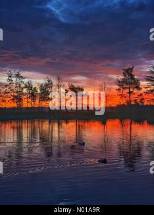 Godalming, Surrey. Januar 2024. Wetter in Großbritannien: Sonnenaufgang über Thursley Common. Elstead Moat, Thursley. Januar 2024. Ein frostiger Start in den Tag für die Home Counties. Sonnenaufgang über Thursley Common bei Godalming, Surrey. Quelle: Jamesjagger/StockimoNews/Alamy Live News Stockfoto