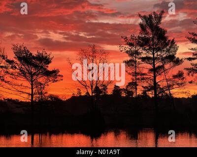 Godalming, Surrey. Januar 2024. Wetter in Großbritannien: Sonnenaufgang über Thursley Common. Elstead Moat, Thursley. Januar 2024. Ein frostiger Start in den Tag für die Home Counties. Sonnenaufgang über Thursley Common bei Godalming, Surrey. Quelle: Jamesjagger/StockimoNews/Alamy Live News Stockfoto