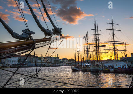 Tall Ships Race 2008. Bergen, Norwegen - August 2008 Sonnenuntergang über einem Dschungel von Segelschiff Masten. Stockfoto