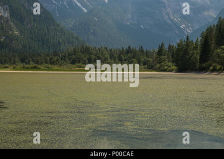 See Landro, das Val Di Landro, Toblach, Bozen, Trentino Alto Adige, Italien Stockfoto