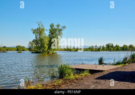 Schönen Frühling Landschaft. Kleine hölzerne Seebrücke auf dem Teich in der Landschaft. Stockfoto