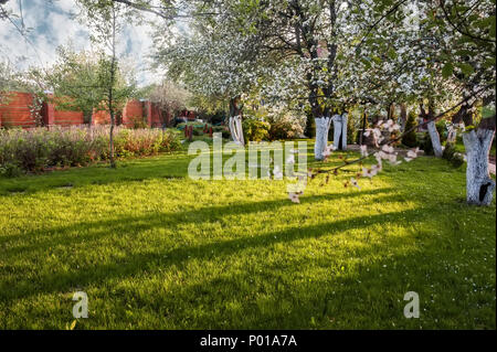 Ziergarten mit majestätisch große blühende Kirschbäume und Apfelbäume auf einer frischen, grünen Rasen. Stockfoto