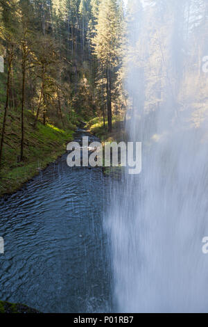 Durch die seidige Kaskade der unteren Süden fällt in das Tal, wo das Silver River in Silver Falls State Park, Maryland fließt. Stockfoto
