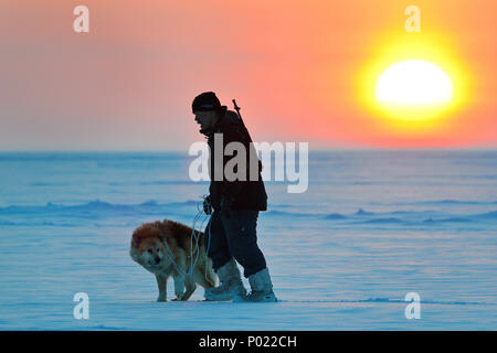 Bewaffneter Inuit mit Husky, Sonnenuntergang im Territorium Nunavut, Kanada | bewaffneten Inuit mit Husky teritorry, Sonnenuntergang in Nunavut, Kanada Stockfoto