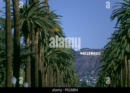 1992 HISTORISCHE PALMEN HOLLYWOOD SCHILD (©THOMAS FISK GOFF 1978) WINDSOR BOULEVARD HOLLYWOOD LOS ANGELES KALIFORNIEN USA Stockfoto