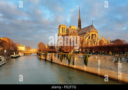 Notre Dame bei Sonnenaufgang - Paris, Frankreich Stockfoto