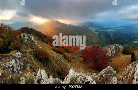 Felsen und Wald im Herbst in der Slowakei Stockfoto