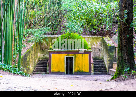 Winzige alte Kapelle im Wald in Gelb lackiert mit Moos bedeckt. Auf der linken Seite wachsen Bambus und rechts ein Baum. Stockfoto