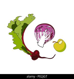 Obst und Gemüse Illustration für Icons und Symbole. Kohl, Apple und Radieschen Stock Vektor