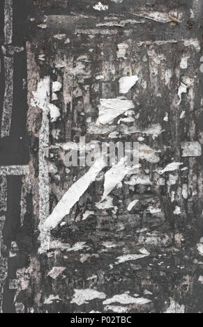 Die Textur einer Wand mit zerrissenen Plakaten. Ideal für Texturen und Hintergründe. Retro Style. Stockfoto