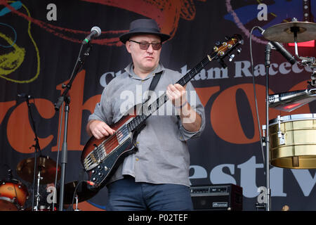 Jah Wobble (John wardle) durchführen bei Wychwood Festival, Cheltenham, UK. Juni 1, 2018 Stockfoto