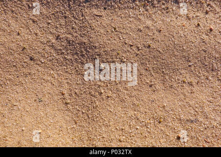 Strand sand Hintergrund Textur. Ansicht von oben Stockfoto