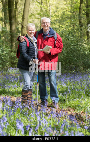 Portrait von Senior Paar auf Spaziergang durch Bluebell Wood Stockfoto