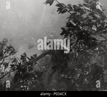 Original Film Titel: DIE BLAUE LAGUNE. Englischer Titel: DIE BLAUE LAGUNE. Regisseur: Frank waschen. Jahr: 1949. Credit: Rang/Album Stockfoto