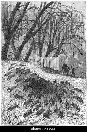 10 "Die geheimnisvolle Insel" von Jules Férat 047 Stockfoto