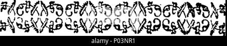 . Englisch: Fleuron aus Buch: ein vergleichender Überblick über den Zustand und die Fähigkeiten des Menschen mit der Welt der Tiere. Von John Gregory, M.D. F.R.S. Professor für Medizin an der Universität von Edinburgh, und erste Arzt Seiner Majestät in Schottland. In zwei Bänden. ... 55 ein vergleichender Überblick über den Zustand und die Fähigkeiten des Menschen mit der Tierwelt Fleuron T 061545-2 Stockfoto