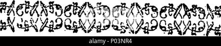 . Englisch: Fleuron aus Buch: ein vergleichender Überblick über den Zustand und die Fähigkeiten des Menschen mit der Welt der Tiere. Von John Gregory, M.D. F.R.S. Professor für Medizin an der Universität von Edinburgh, und erste Arzt Seiner Majestät in Schottland. In zwei Bänden. ... 55 ein vergleichender Überblick über den Zustand und die Fähigkeiten des Menschen mit der Tierwelt Fleuron T 061545-4 Stockfoto
