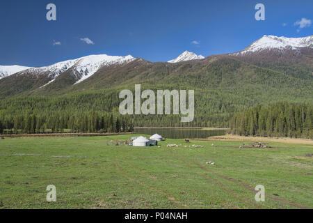 Haus auf der Strecke; Jurten in Kanas See National Park, Xinjiang, China Stockfoto