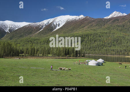 Haus auf der Strecke; Jurten in Kanas See National Park, Xinjiang, China Stockfoto