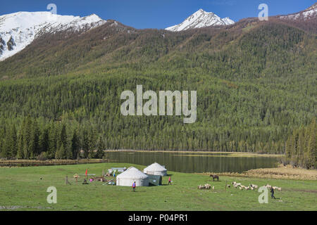 Haus auf der Strecke; Jurten in Kanas See National Park, Xinjiang, China Stockfoto