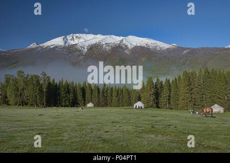 Haus auf der Strecke; Jurten in Kanas See National Park, Xinjiang, China Stockfoto