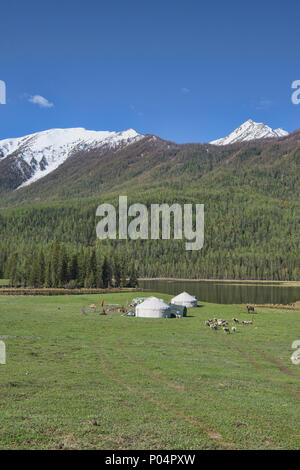 Haus auf der Strecke; Jurten in Kanas See National Park, Xinjiang, China Stockfoto