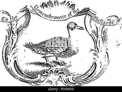 . Englisch: Fleuron aus Buch: eine vollständige Rechtfertigung der Stockente von All-Souls College, gegen die injurous Anregungen des Rev. Herr Zeiger, Rektor der Slapton in der Grafschaft von Northampton und Diözese von Peterborough. 71 eine vollständige Rechtfertigung der Stockente von All-Souls College, gegen die injurous Anregungen der Rev Fleuron T 031058-1 Stockfoto