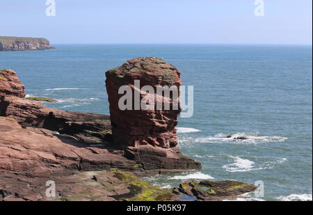 Deil's Heid Meer stack Angus Schottland Juni 2018 Stockfoto